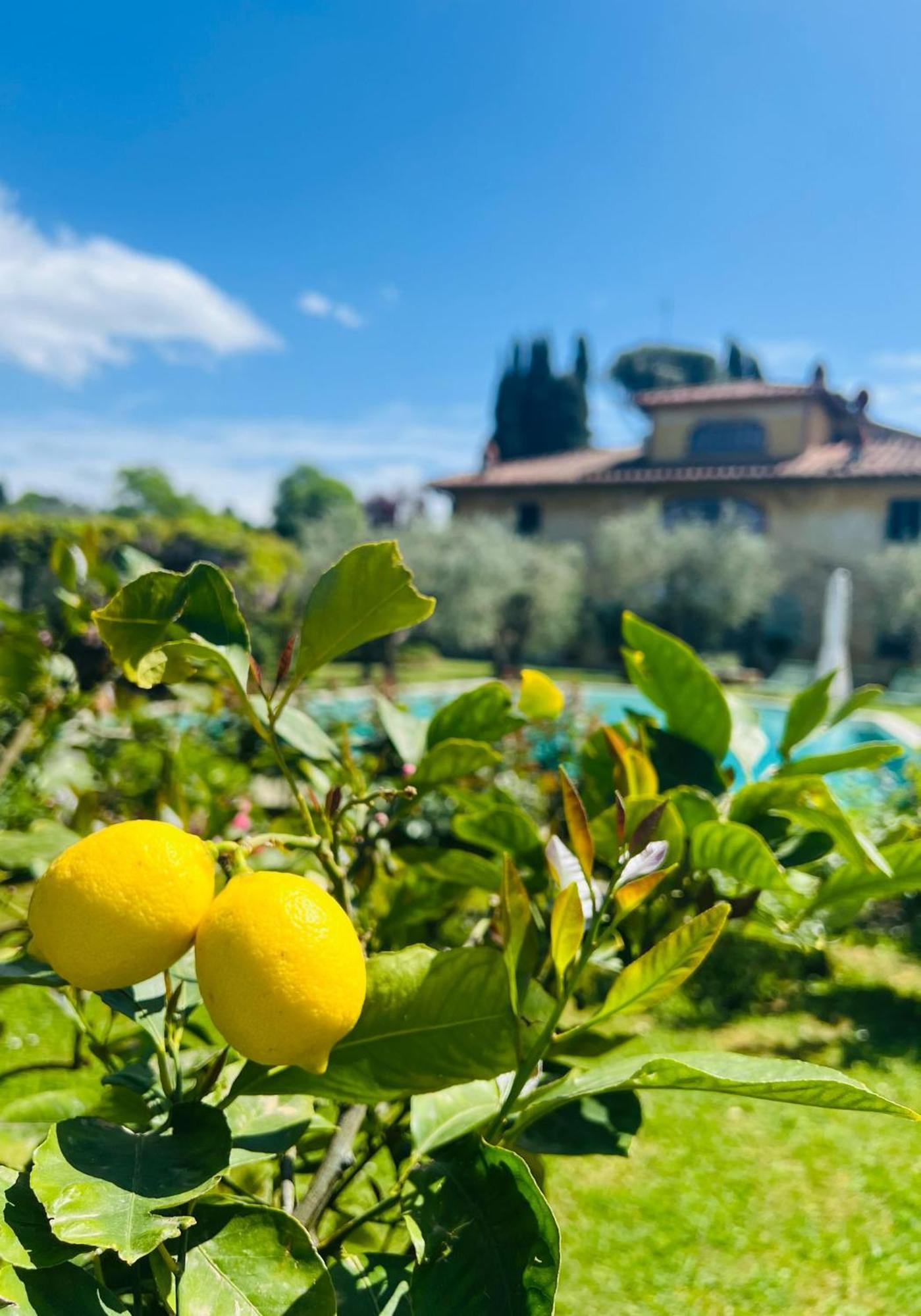 Villa Giotto Florence Pozzolatico Exterior photo